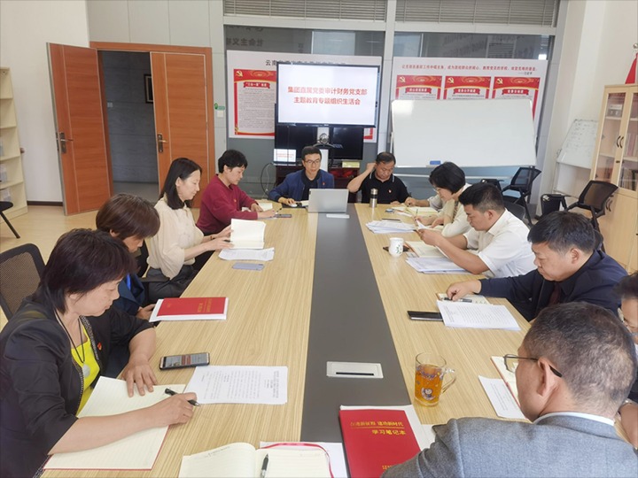 【主题教育】集团直属党委审计财务党支部、解化清洁能源公司党委、可保煤矿公司党委召开主题教育专题民主（组织）生涯会
