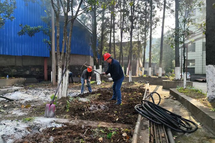 羊场煤矿公司组织开展植树运动