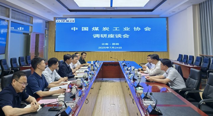 中国煤炭工业协会到云煤集团调研